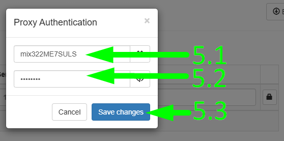 91HTTP代理在 ZeroOmega设置动态不限量代理教程